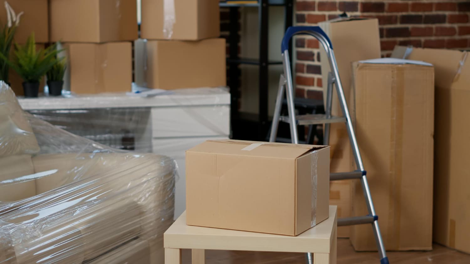 Organized Storage Management